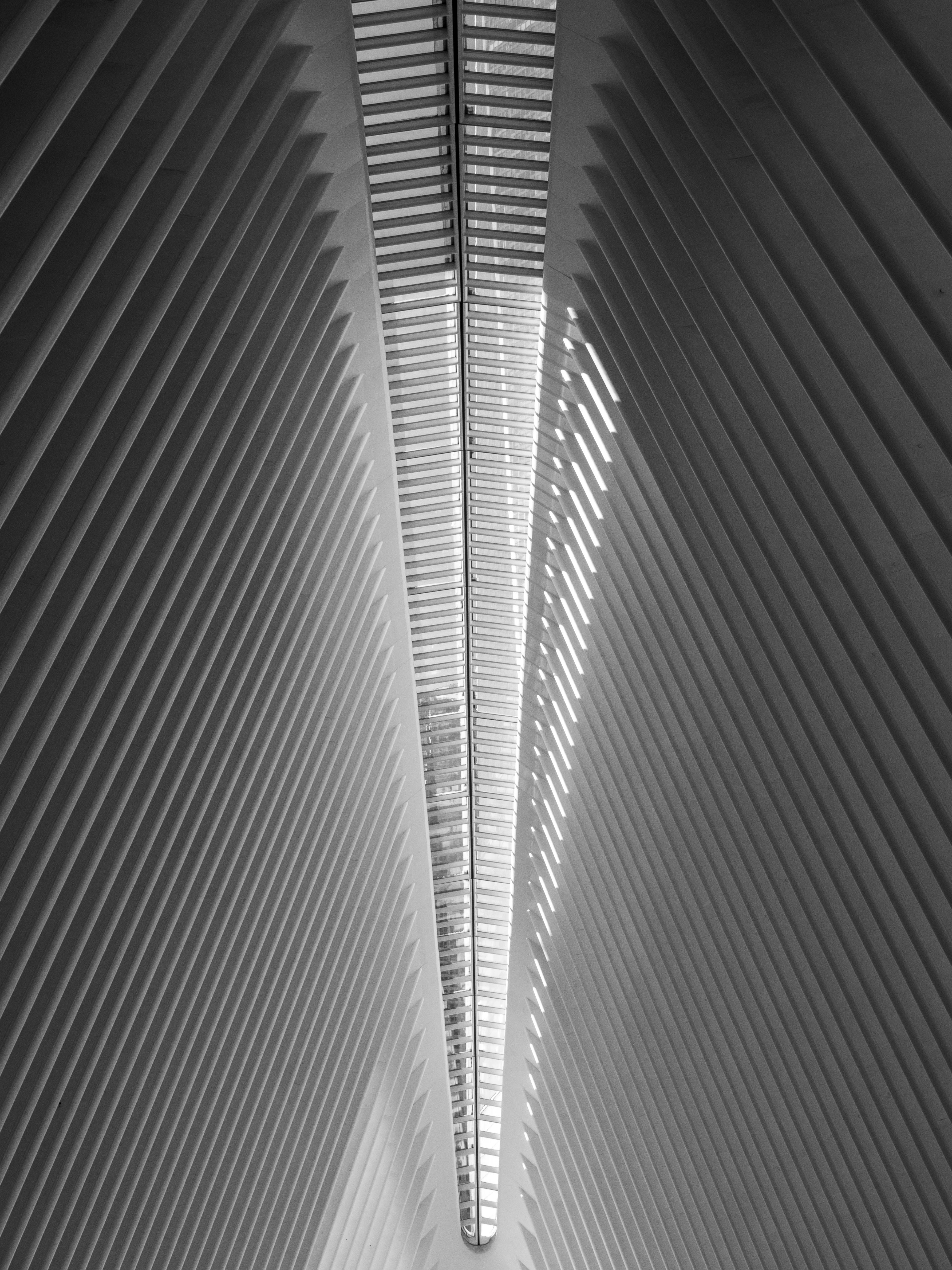 New York Vertical 1